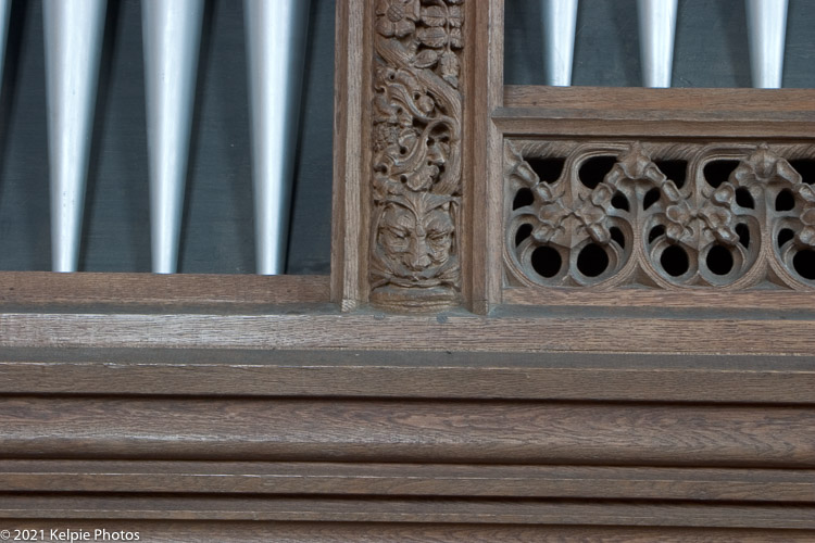 organ   organ